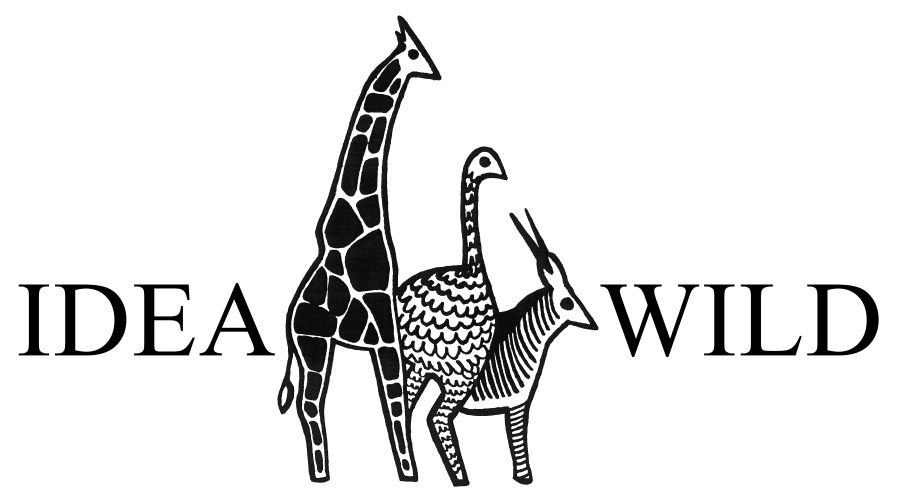 IDEA-WILD-LOGO.webp