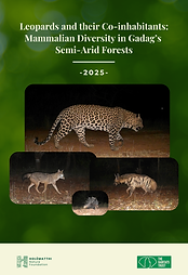 Gadag Leopord Report Cover page.png