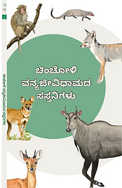 Chincholi Pocket Guide K_edited_edited.p