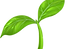 seedling_1f331.png