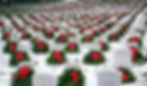 Banner_IconicArlingtonInSnow (1).jpg