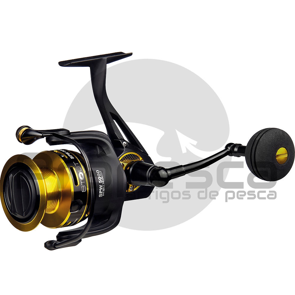 Carreto Barros Stout SPW