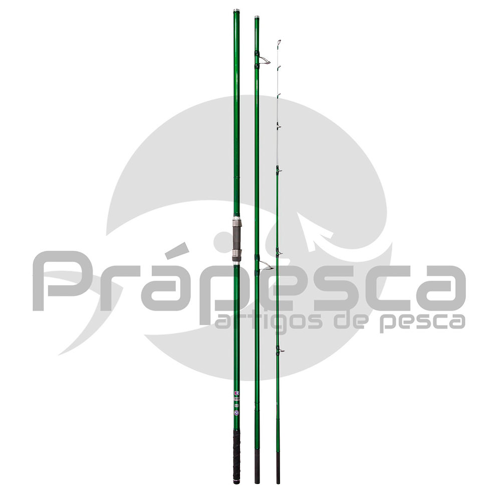 Cana Vercelli Spyra Adornica