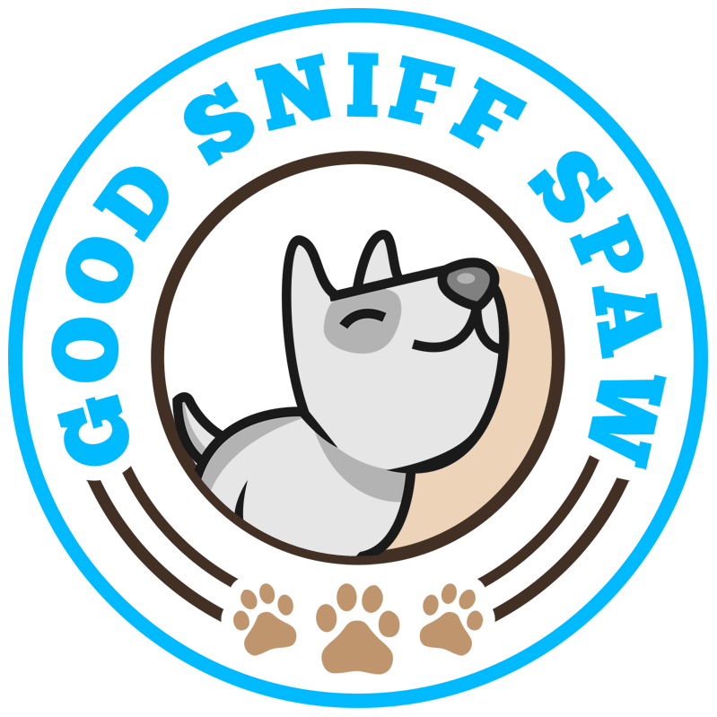 Tips For Choosing The Best Hotel For Your Dog Get Murder Files