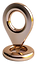 sem fundo.png