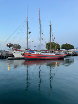 Sailing the seas of San Pedro