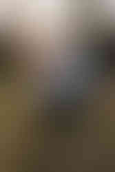 Couple en mouvement dans la forêt de Fontainebleau au golden hour, lumière naturelle et ambiance chaleureuse