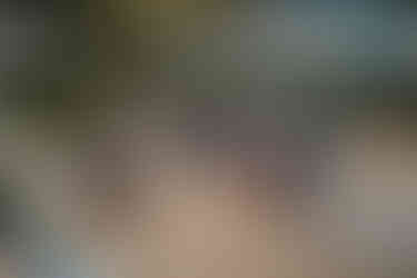 Photographie prise par Thomas Beauquesne, photographe de mariage en Seine-et-Marne, montrant les invités rassemblés lors du vin d’honneur au Domaine des Clos Vallées, capturés depuis un drone.