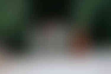 Moment spontané des invités célébrant le vin d’honneur du mariage de Sophie et Cédric, atmosphère détendue et joyeuse, photographié par Thomas Beauquesne