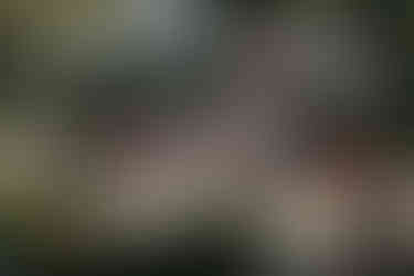 Photographie prise par Thomas Beauquesne, photographe de mariage en Seine-et-Marne, capturant les mariés et leurs invités lors du vin d’honneur au Domaine des Clos Vallées vue depuis le ciel par drone.