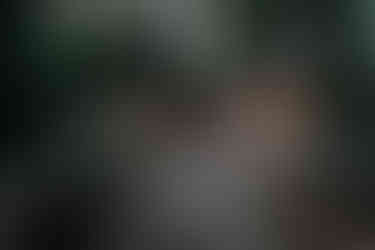 Photo du lieu de réception de l’Orangerie du Moulin à Bransles illuminé le soir pour le mariage de Sophie et Cédric, ambiance chaleureuse et romantique capturée par Thomas Beauquesne, photographe de mariage en Seine-et-Marne