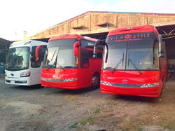 VIP Style Buses