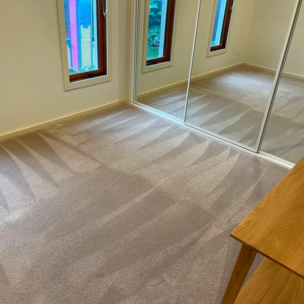 Master bedroom carpet showing fresh HEPA-13 vacuum extraction patterns alongside mirrored sliding wardrobe doors. 