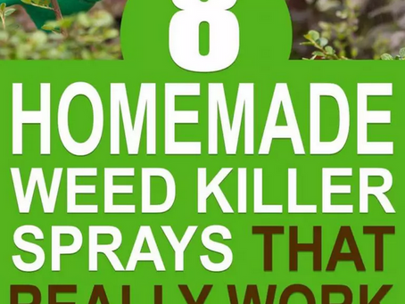 8 Homemade Weed Killer Sprays That Really Work