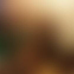 You’re looking at the cast of a reality show about up and coming female comedians but we are missing