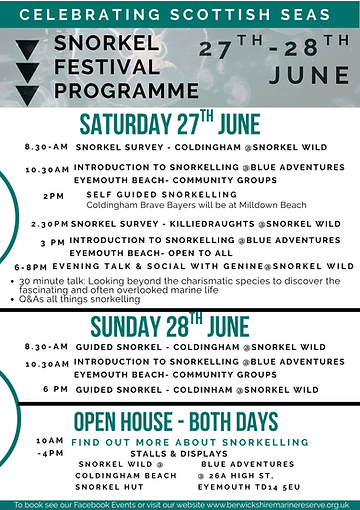 Snorkel Festival Programme of Events Leaflet (A5).png