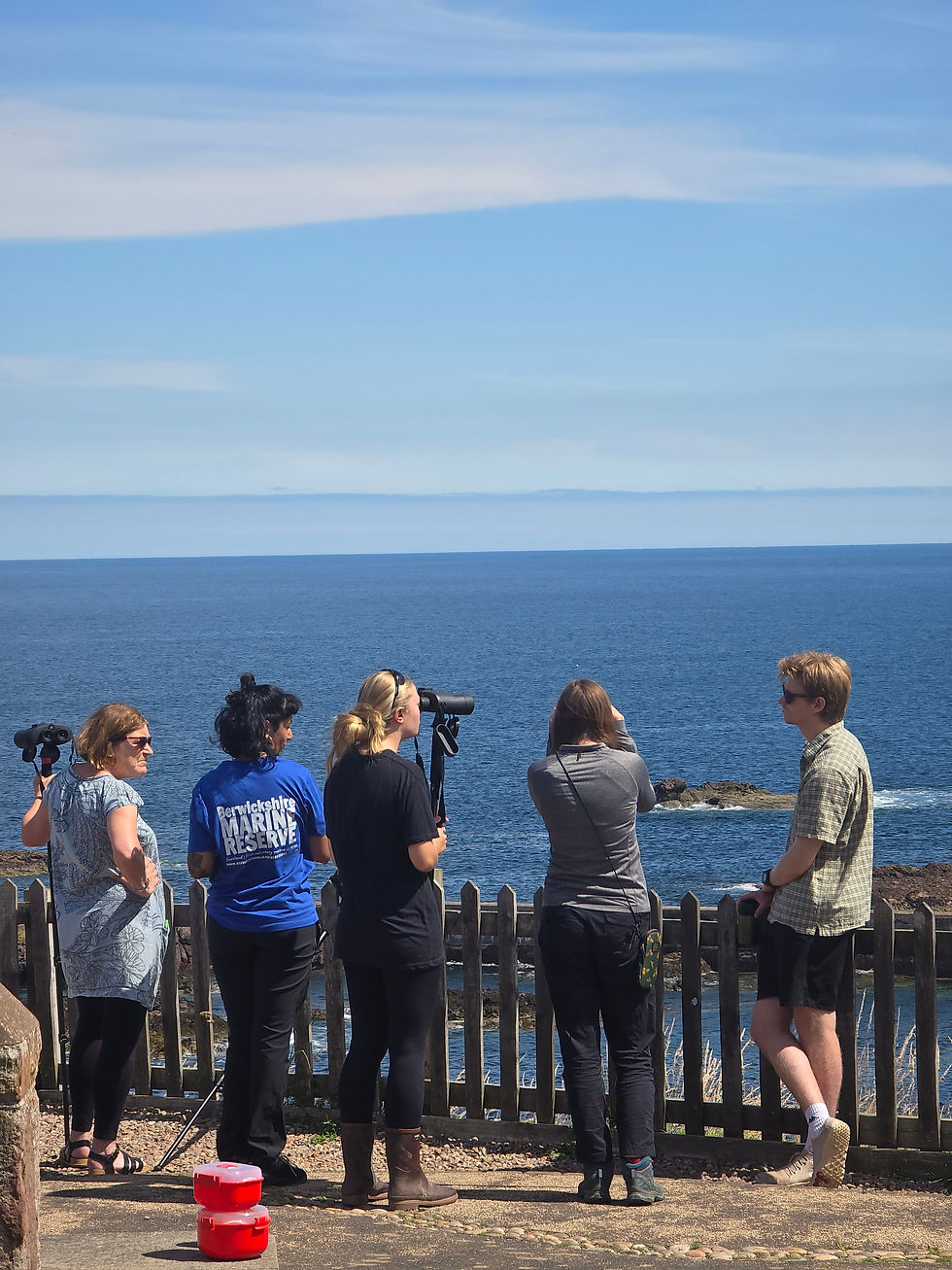 Anj and trained WDC Shorewatch volunteers completing a Shorewatch at the St Abbs Shorewatch site.