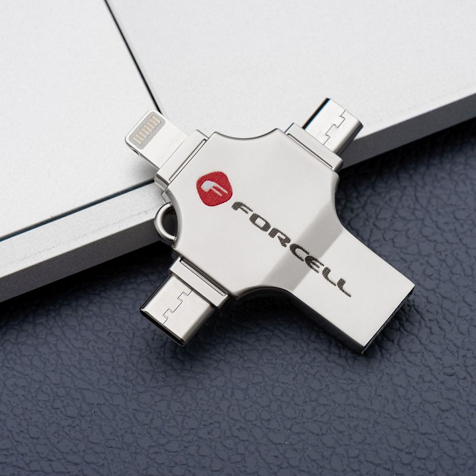 Miniaturbild: FORCELL F-DATA USB-Stick Metal Quad 64GB USB3.2 Gen 1 (USB A / Typ C / Lightning