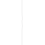 Thumbnail: APPLE EarPods mit Lightning Anschluss