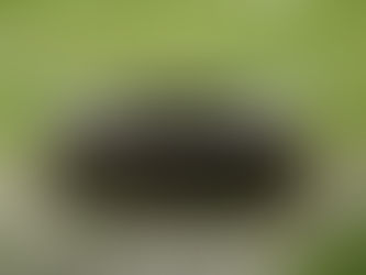 VOTW: Will you ask Him? John 4 10 (8 Aug 2021)