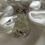 Thumbnail: Crystal Prism Resin Ring Holder