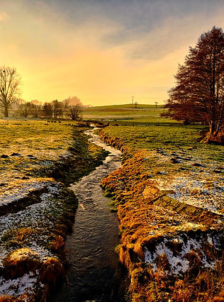 Shire Setting.jpg