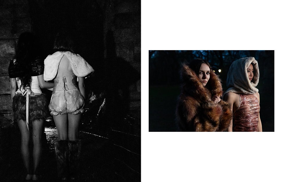 thesis bfa lookbook3.png