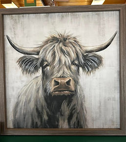 Highland Cow.jpg