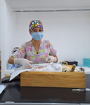 WhatsApp Image 2023-12-12 at 20.22.08 (2).jpeg