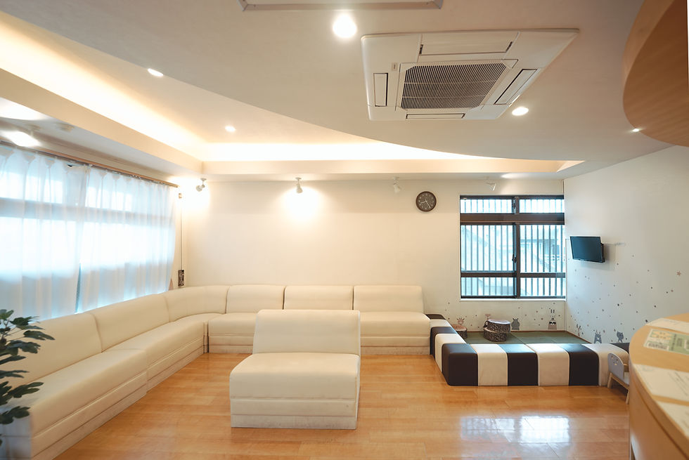 DSC03382-強化-NR