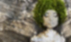 ORL-10690-2 Nature 3