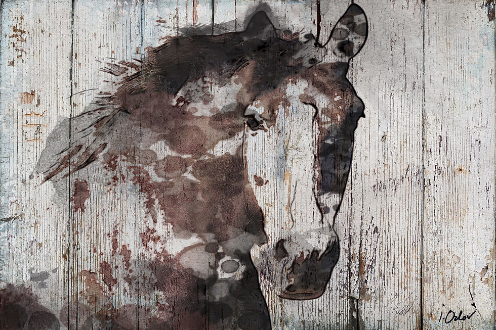 40x60 Wild Gorgeous Horse.JPEG