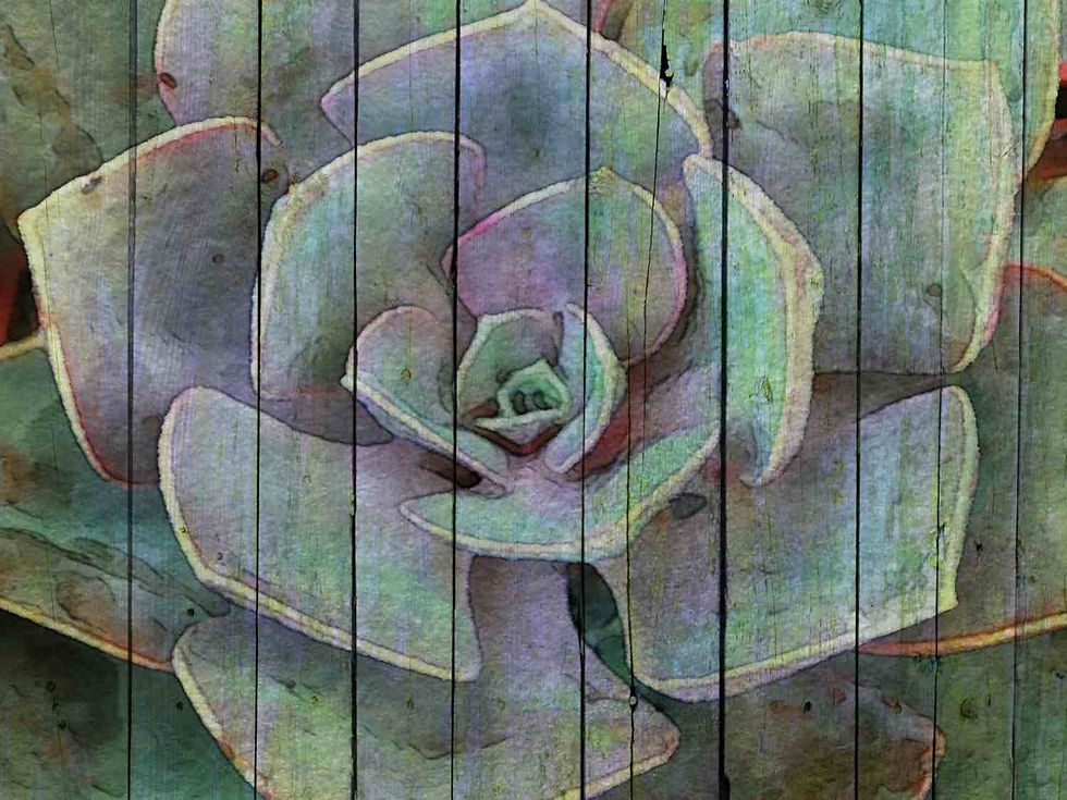 ORL-2950 Green Succulent Agave .JPEG