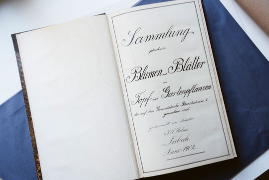 Historisches aufgeschlagenes Buch aus Lübeck mit kunstvoller Kurrentschrift, Titel "Sammlung getrockneter Blumen und Blätter von Topf- und Gartenpflanzen", erstellt von J.S. Wilms im Jahr 1902; das Buch liegt auf einer blauen Unterlage, dekorativer Buchrücken mit Musterverzierung.