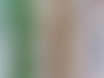 無職生活２ヶ月が過ぎ、家族の様子が。。。