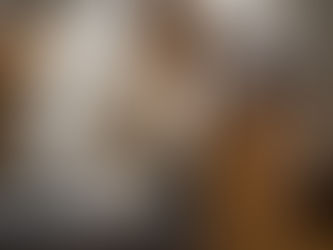 犬レンタルは便利　でも盗難は？