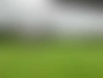 イギリス人が傘をささない理由