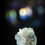 Thumbnail: Calcite and Fluorite