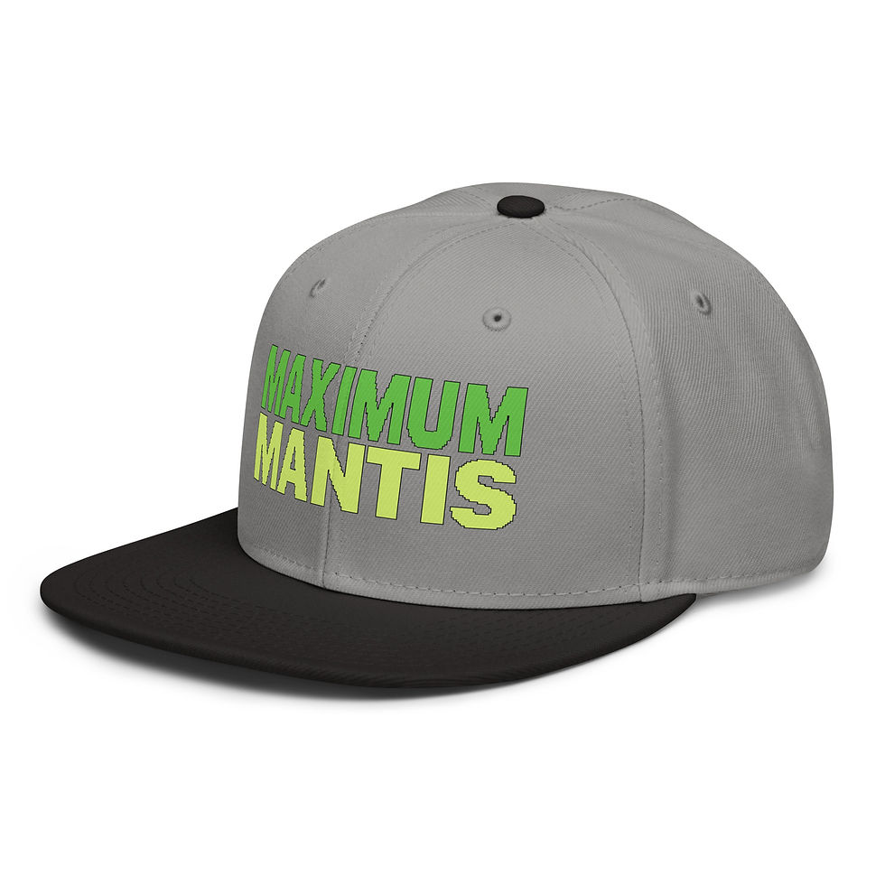 Thumbnail: Snapback Hat