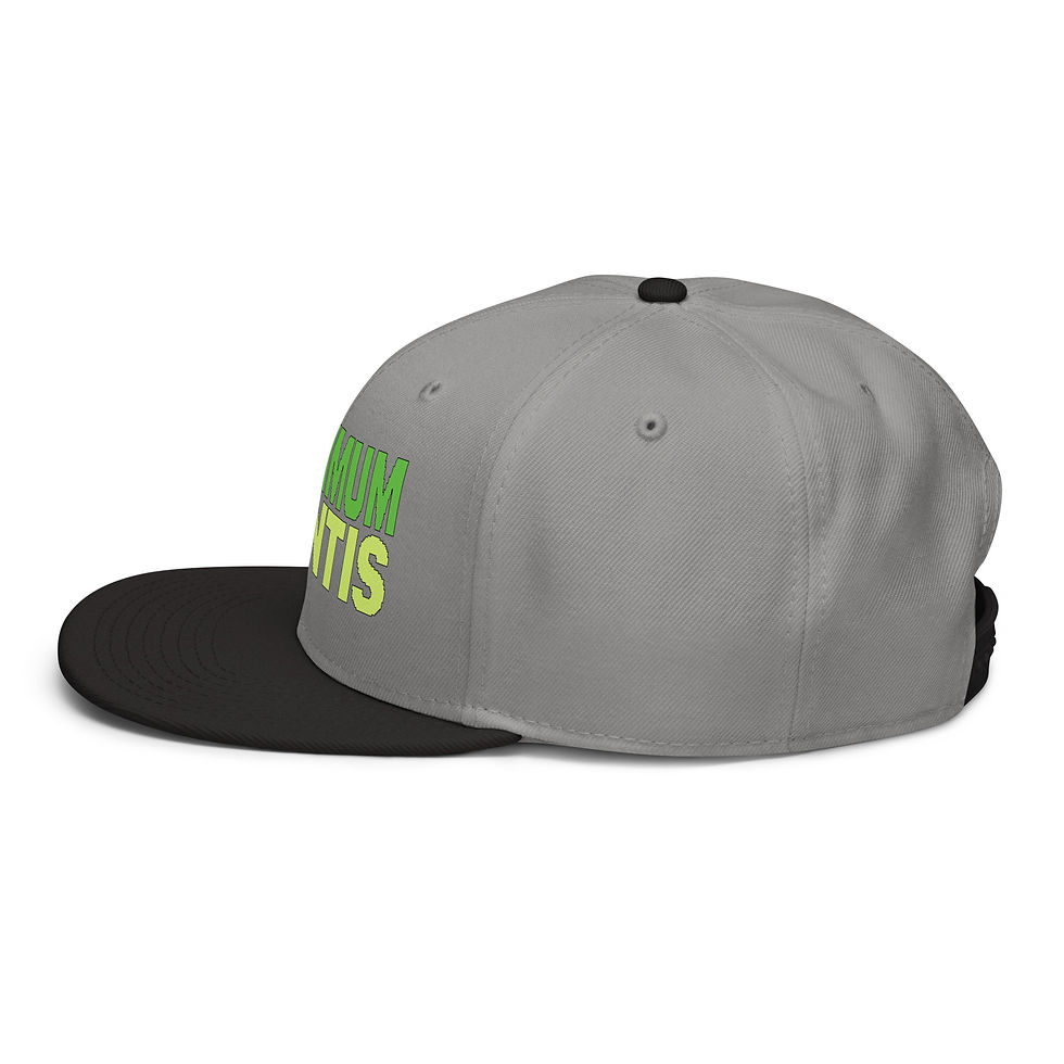 Thumbnail: Snapback Hat