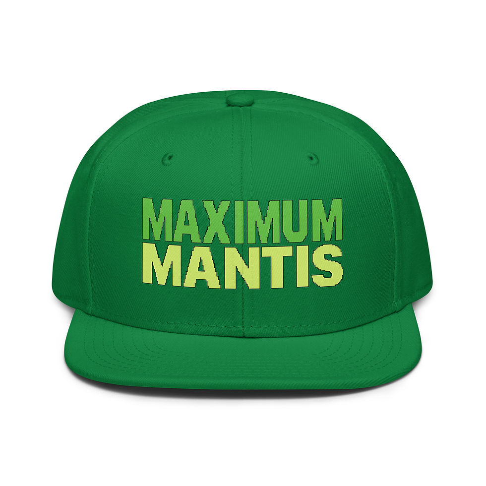 Thumbnail: Snapback Hat