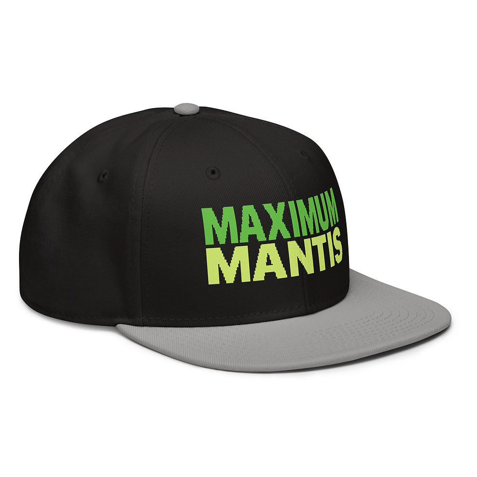 Thumbnail: Snapback Hat