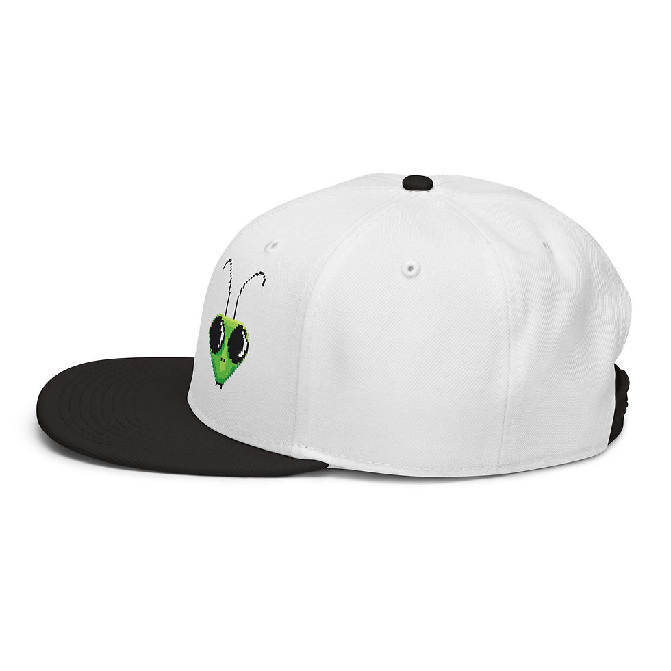 Thumbnail: Snapback Hat