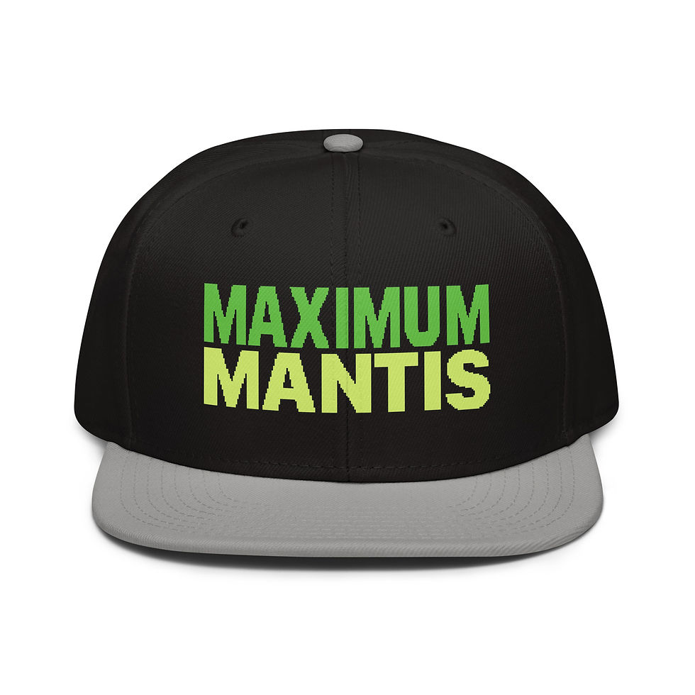 Thumbnail: Snapback Hat