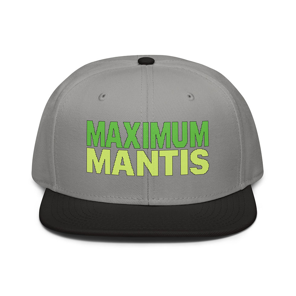 Thumbnail: Snapback Hat