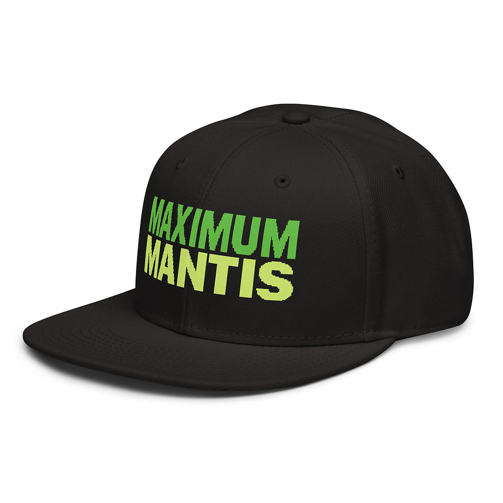 Thumbnail: Snapback Hat
