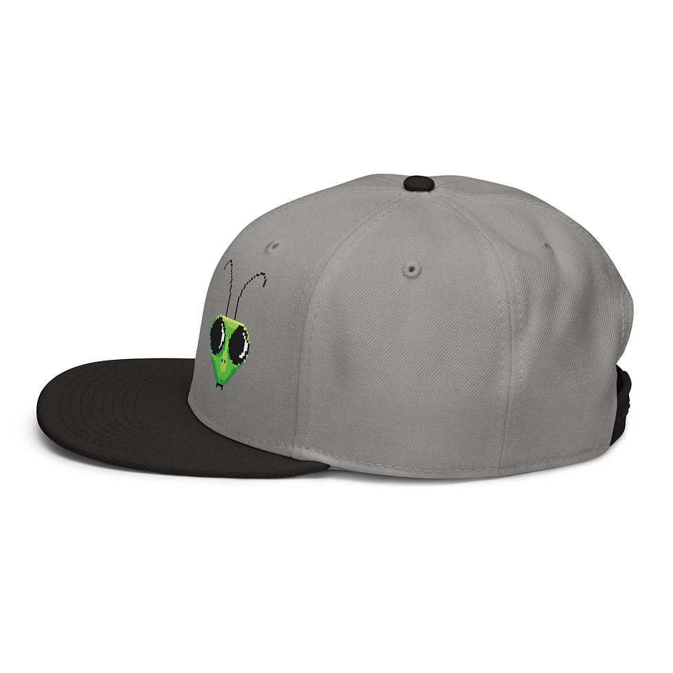 Thumbnail: Snapback Hat