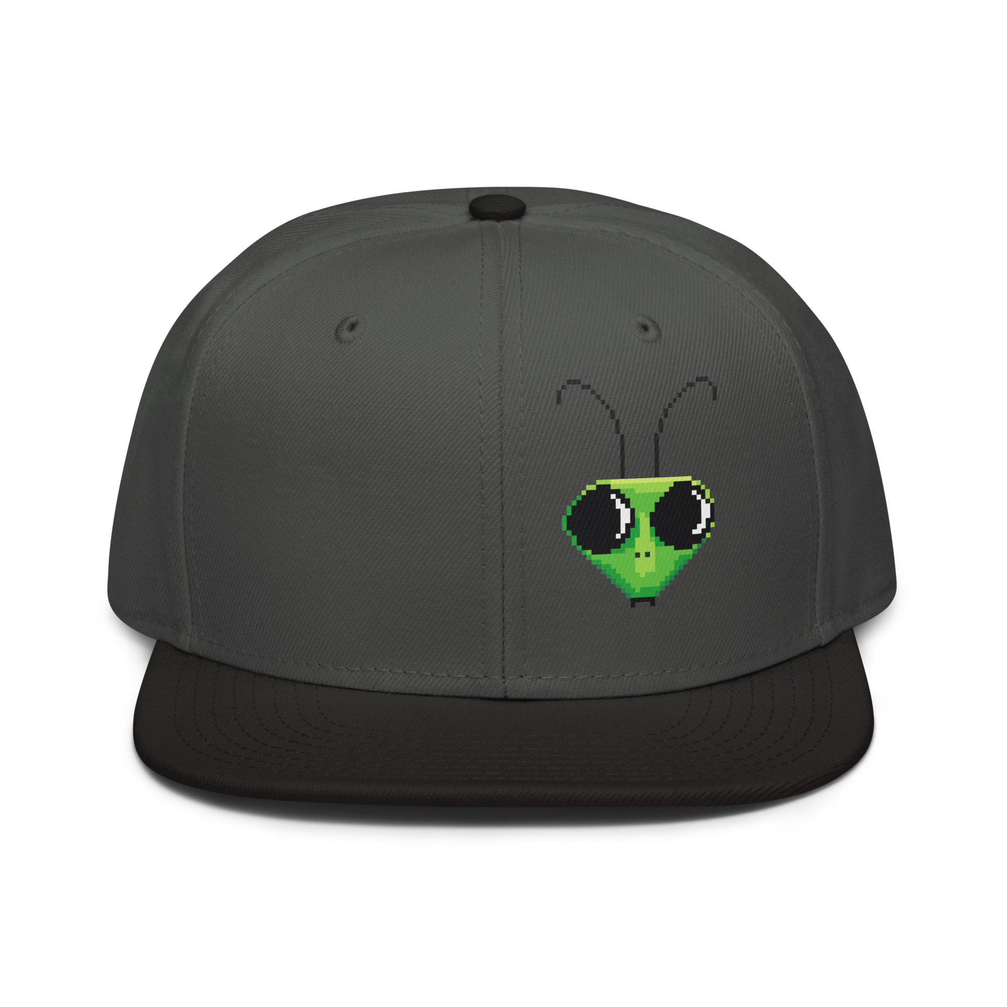 Snapback Hat