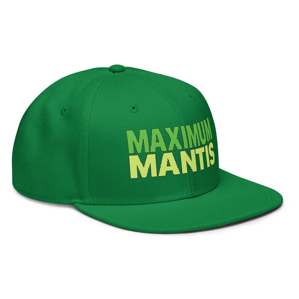 Thumbnail: Snapback Hat