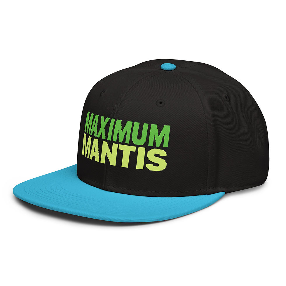 Thumbnail: Snapback Hat